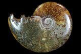 Polished, Agatized Ammonite (Cleoniceras) - Madagascar #97266-1